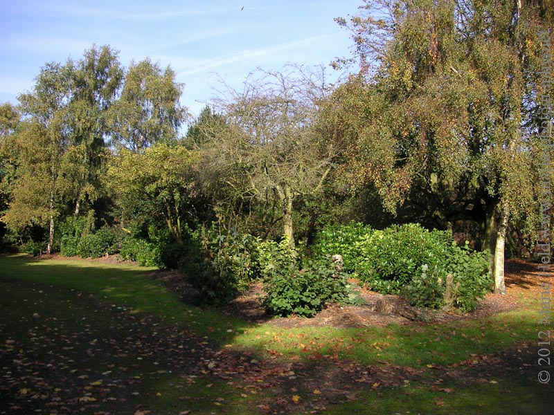 Botanic Park, Liverpool, UK.