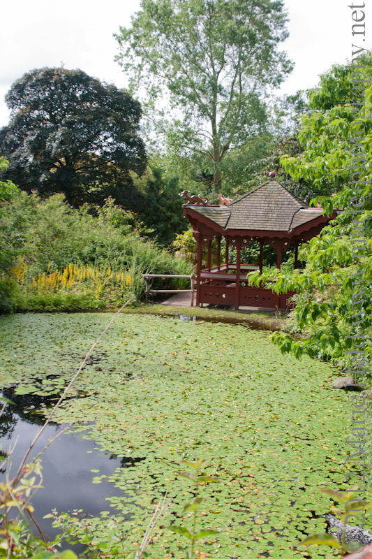 Pond in Royal Botanic Garden.
