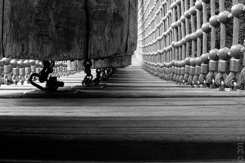 Baumkronenpfad Hainich.