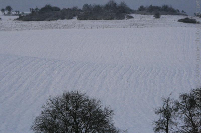 Snowy field near Steigerthal.