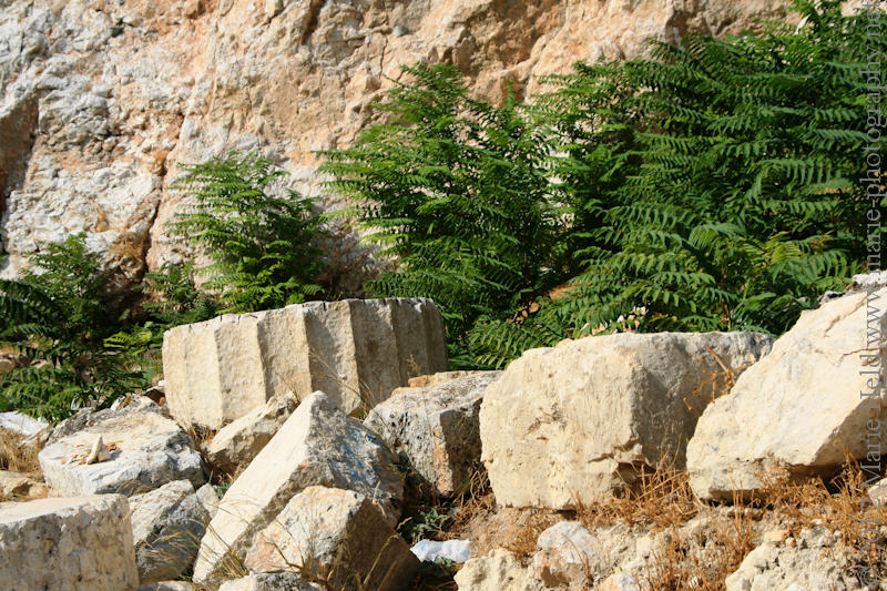 Derelict column section. 