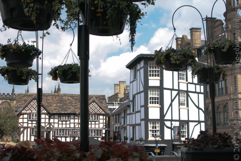 Refurbished half timbered houses.